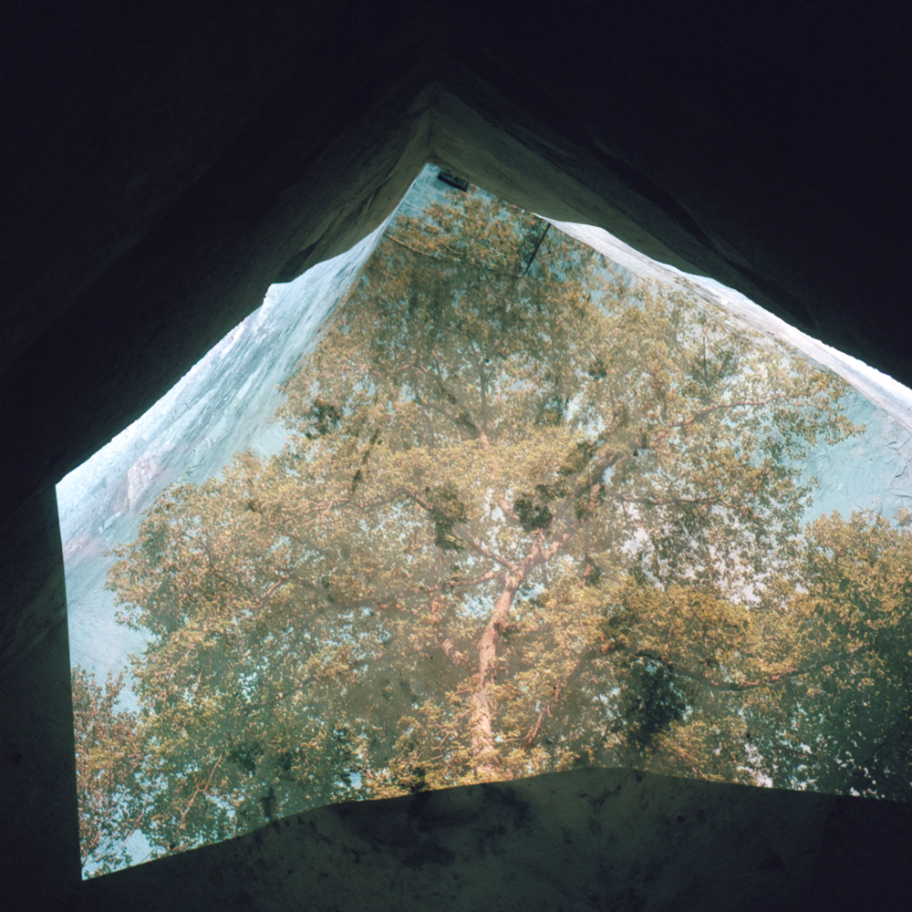 Canopee, 2024 — Edouard Taufenbach Bastien Pourtout