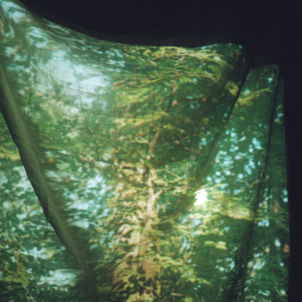 Frondaison, 2024 — Edouard Taufenbach Bastien Pourtout