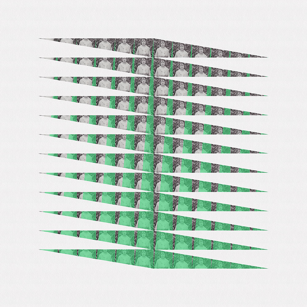 CINEMA : histoires domestiques