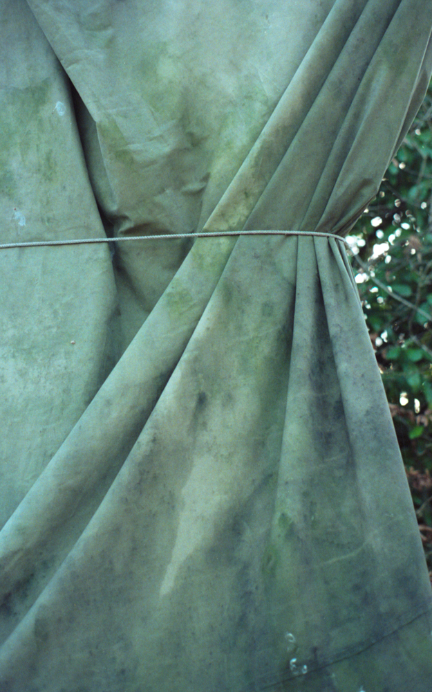 Celadon, 2024 — Edouard Taufenbach Bastien Pourtout