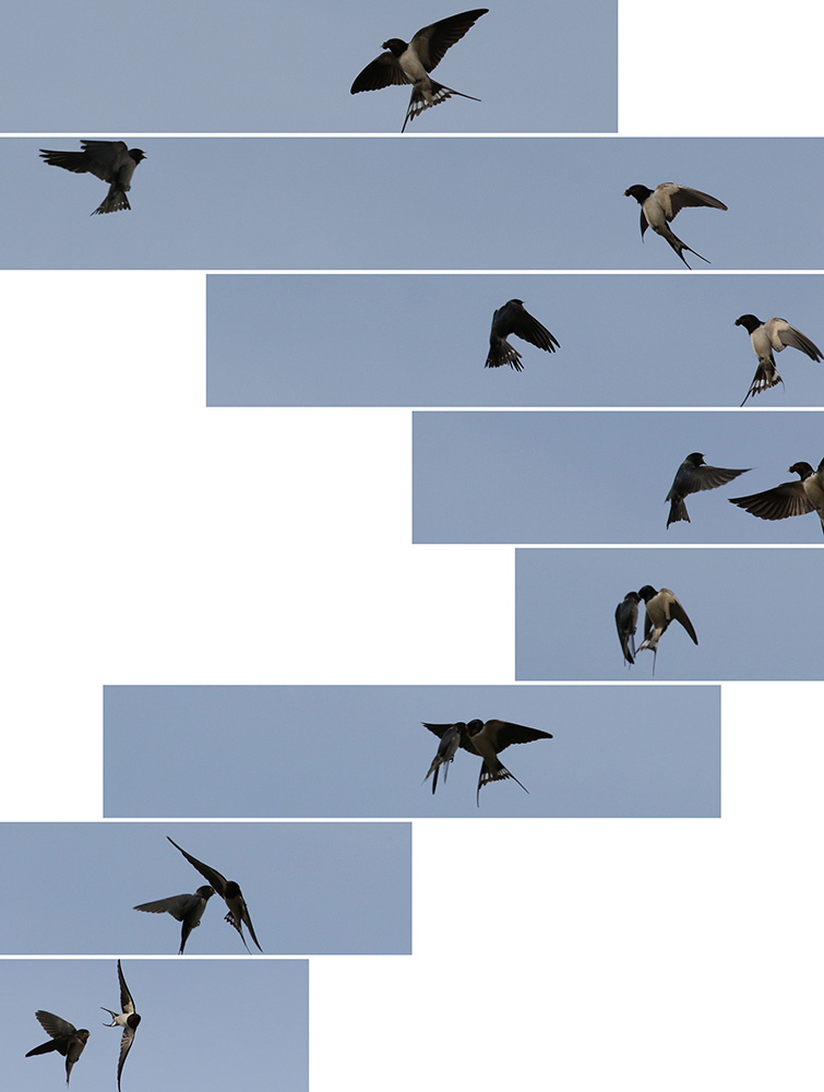 Le bleu du ciel — Edouard Taufenbach Bastien Pourtout