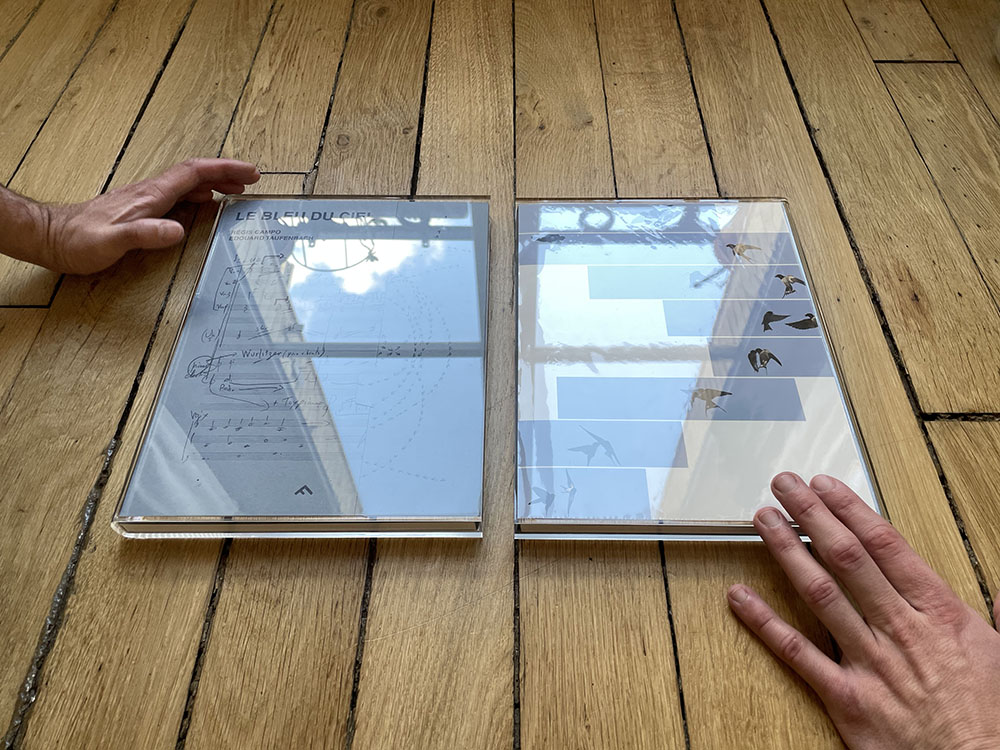 Le bleu du ciel — Edouard Taufenbach Bastien Pourtout