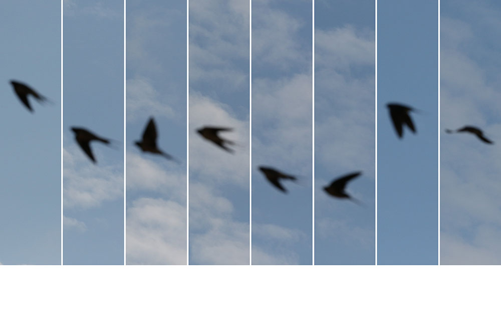 Le bleu du ciel - 01061001 — 2020 Edouard Taufenbach Bastien Pourtout