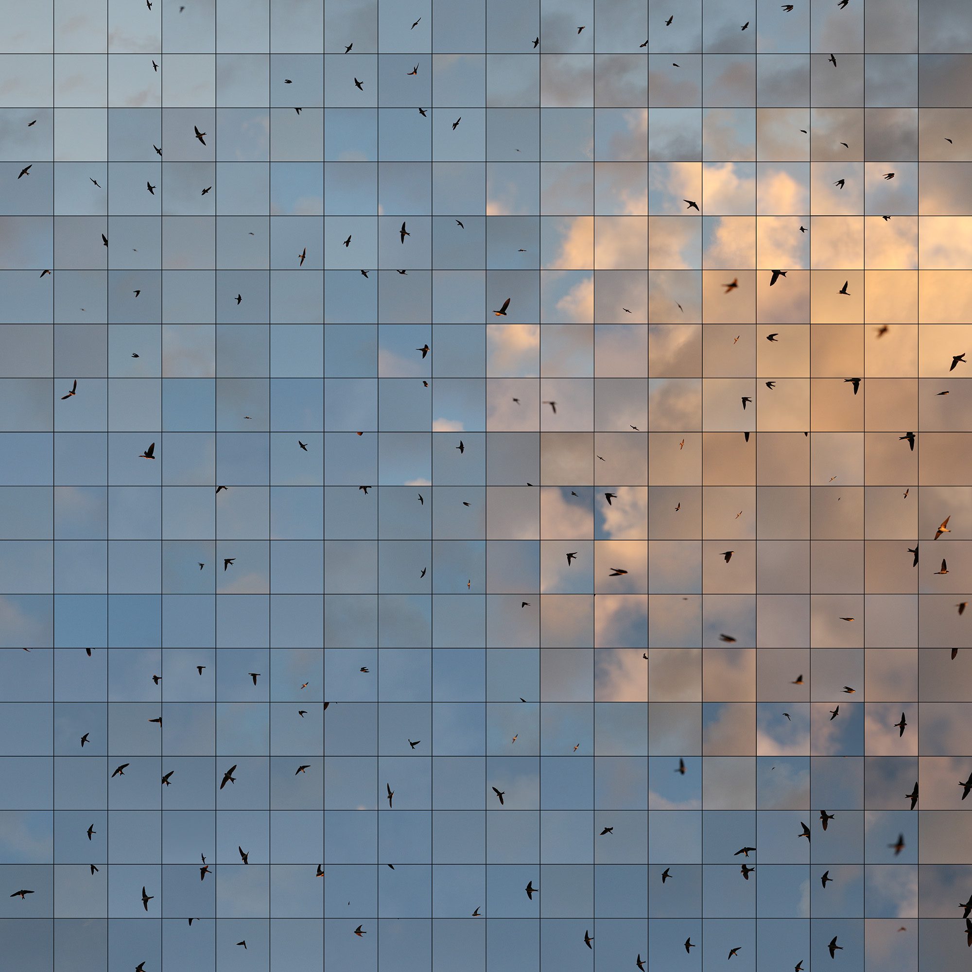 Le bleu du ciel - 01061001 — 2020 — Edouard Taufenbach Bastien Pourtout