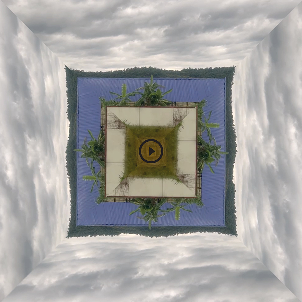 Vue d'exposition Galerie Lefebvre & Fils — Edouard Taufenbach Bastien Pourtout