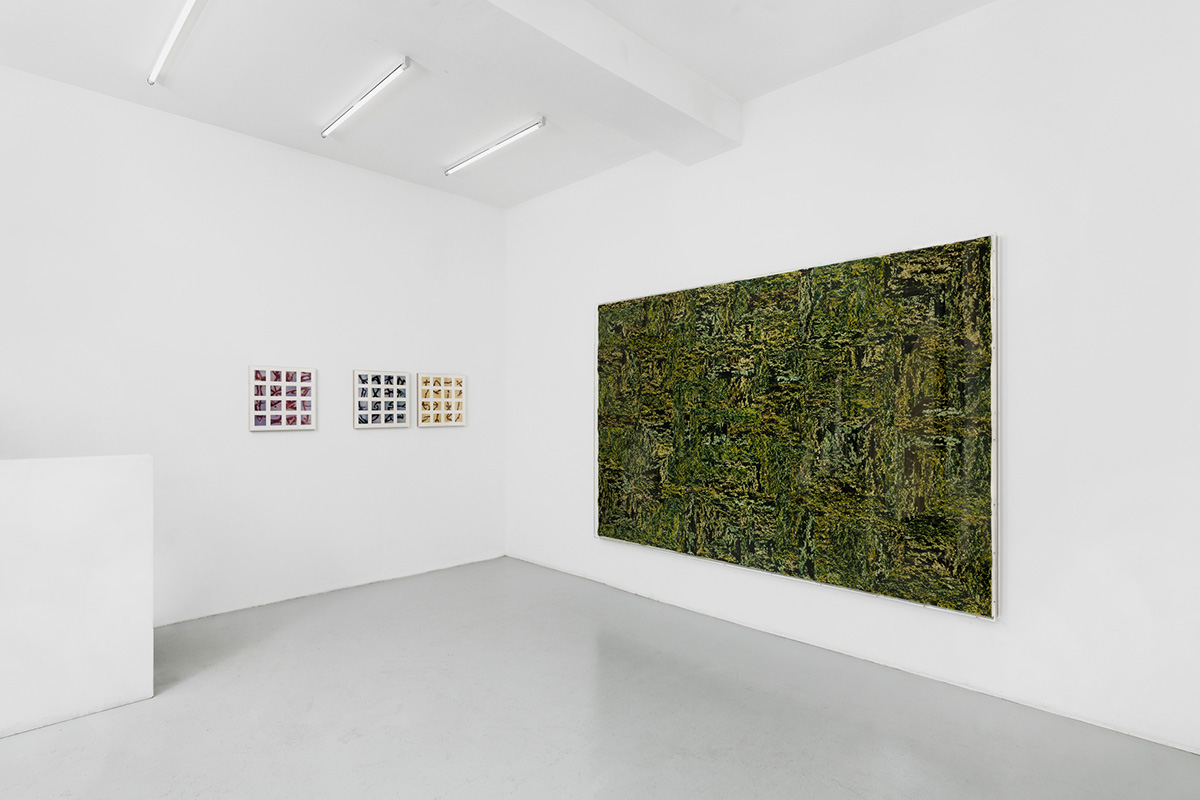 Le jardin qui bascule — Edouard Taufenbach Bastien Pourtout — galerie C